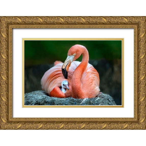Ortega, Xavier 18x13 Gold Ornate Wood Framed with Double Matting Museum Art Print Titled - Mom Flamingo With Chick