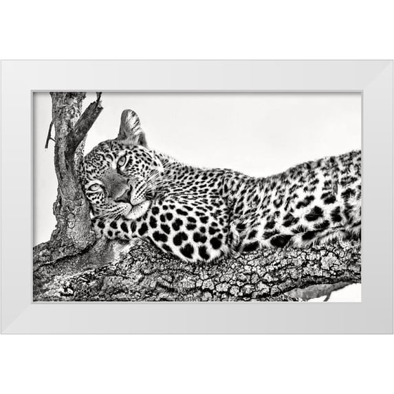 Ortega, Xavier 18x13 White Modern Wood Framed Museum Art Print Titled - Time To Rest