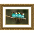 thumbnail image 1 of Ortega, Xavier 24x17 Gold Ornate Wood Framed with Double Matting Museum Art Print Titled - Bee-Eater Resting, 1 of 4