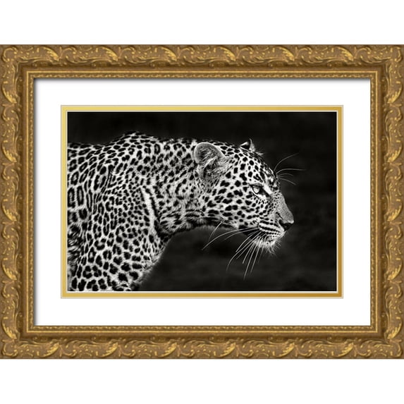 Ortega, Xavier 24x17 Gold Ornate Wood Framed with Double Matting Museum Art Print Titled - Leopard Close Up