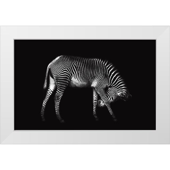 Ortega, Xavier 32x22 White Modern Wood Framed Museum Art Print Titled - Zebra Solo
