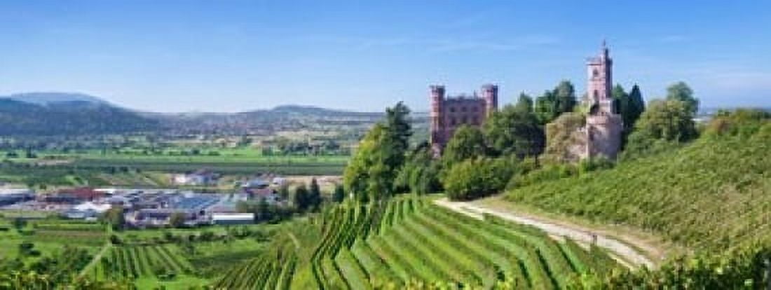 Ortenberg Castle Offenburg Black Forest Baden-Wurttemberg Germany Canvas Art - Panoramic Images (32 x 12)