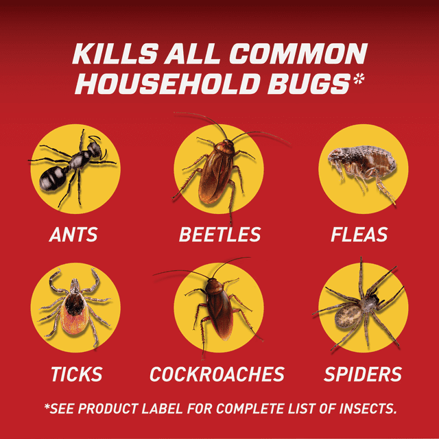 Ortho Home Defense Indoor & Perimeter Insect Killer - Pack of 2 ...