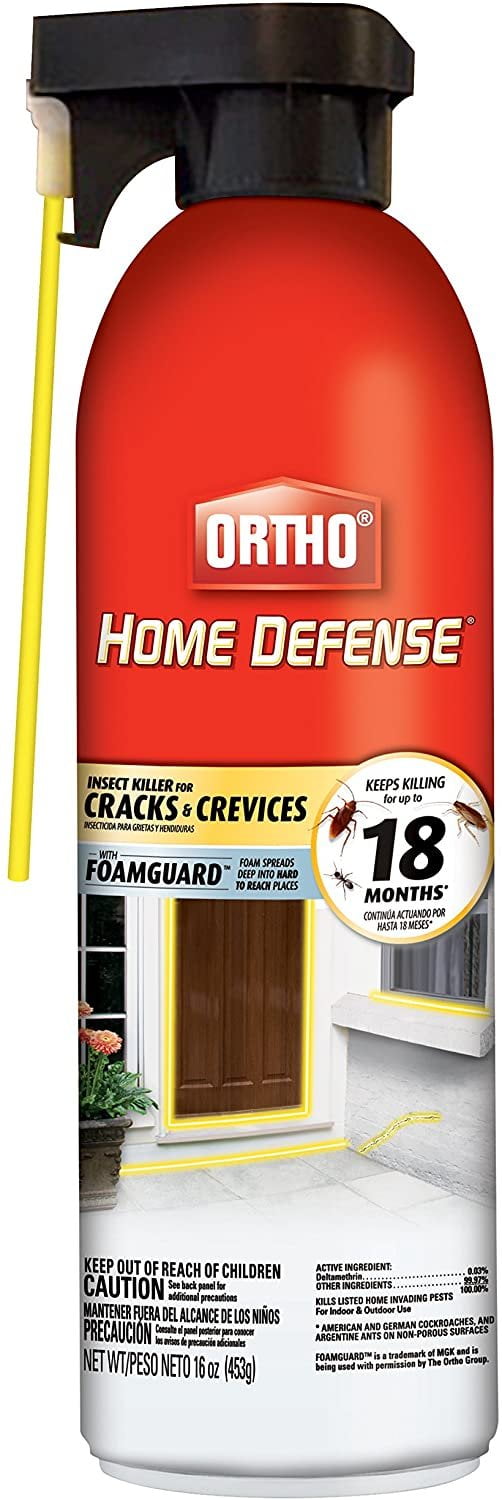 Ortho Home Defense Insect Killer for Cracks & Crevices Spray Foam