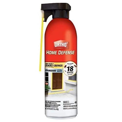 Ortho Home Defense Insect Killer for Cracks & Crevices Spray Foam