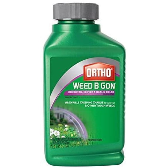 Roundup Weed B Gon Weed Killer Triclopyr - Covers 3200 Sq. Ft. - 1 Pt