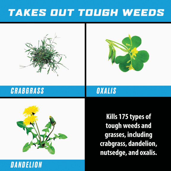 Ortho Nutsedge Weed Killer - Pack of 4  Construction & DIY Use, Standard Hardware Spec