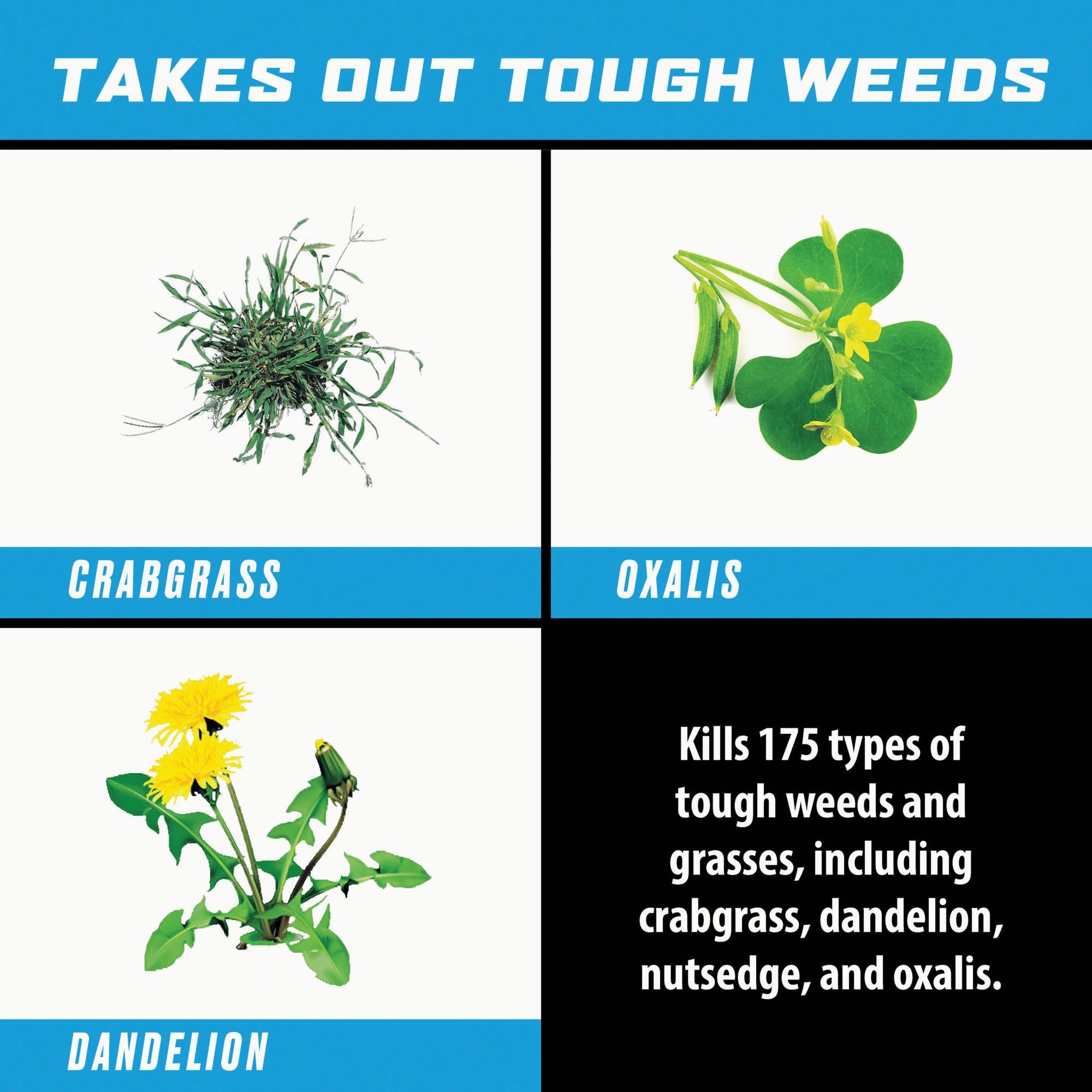 Ortho Nutsedge Weed Killer - Single Pack — Construction & DIY Use, Standard Hardware Spec