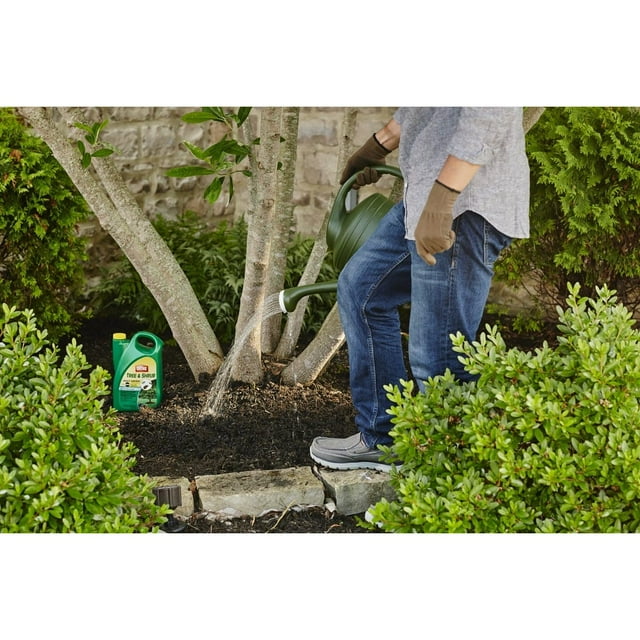 Ortho Tree and Shrub Insect Control Plus MiracleGro Plant Food