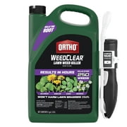 Ortho WeedClear Lawn Weed Killer Ready-to-Use1 with Comfort Wand (South), 1 gal.