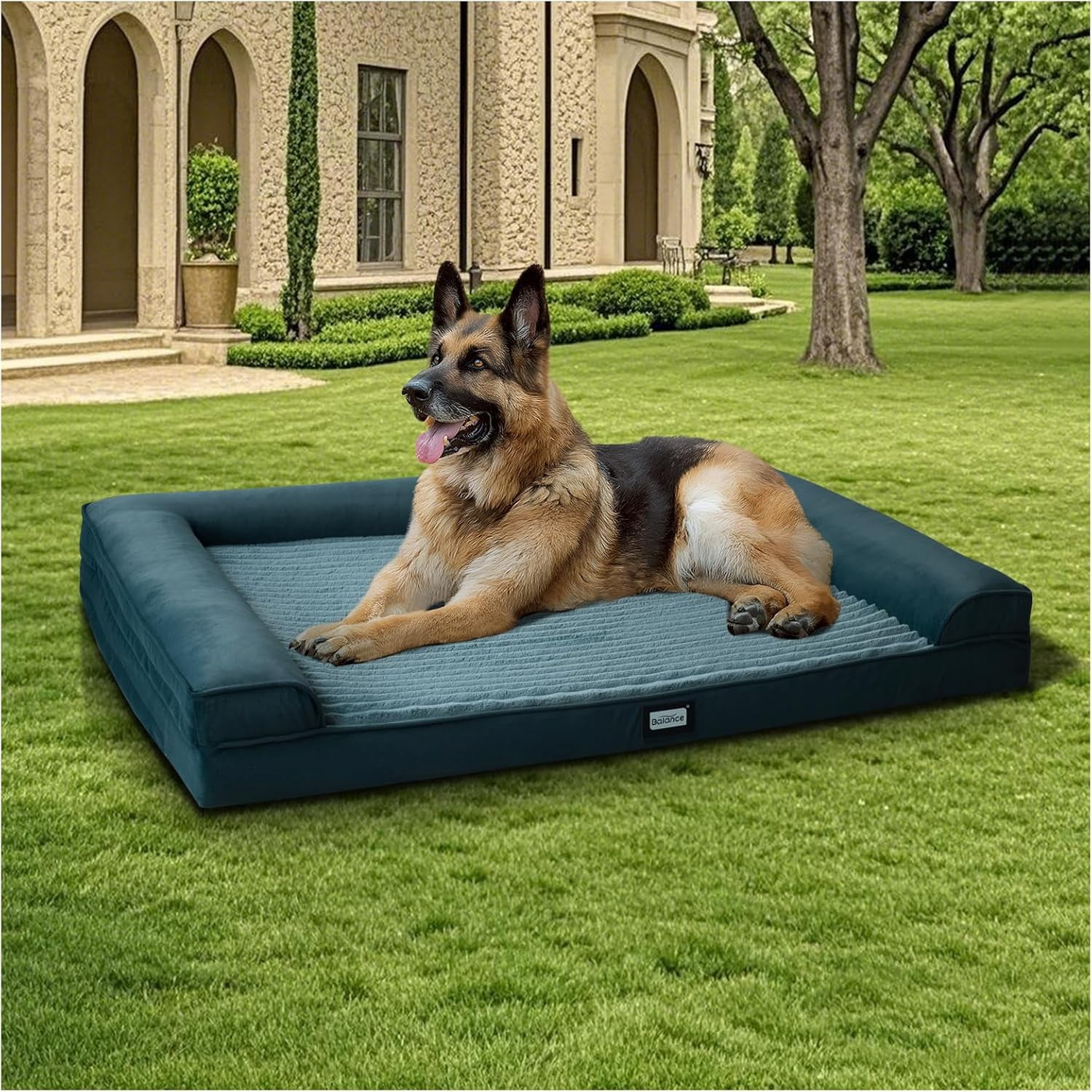 Curated visual reference: Orthopedic Dog Bed Egg Crate Foam Couch For Pet Sleeping Photo Inspiration