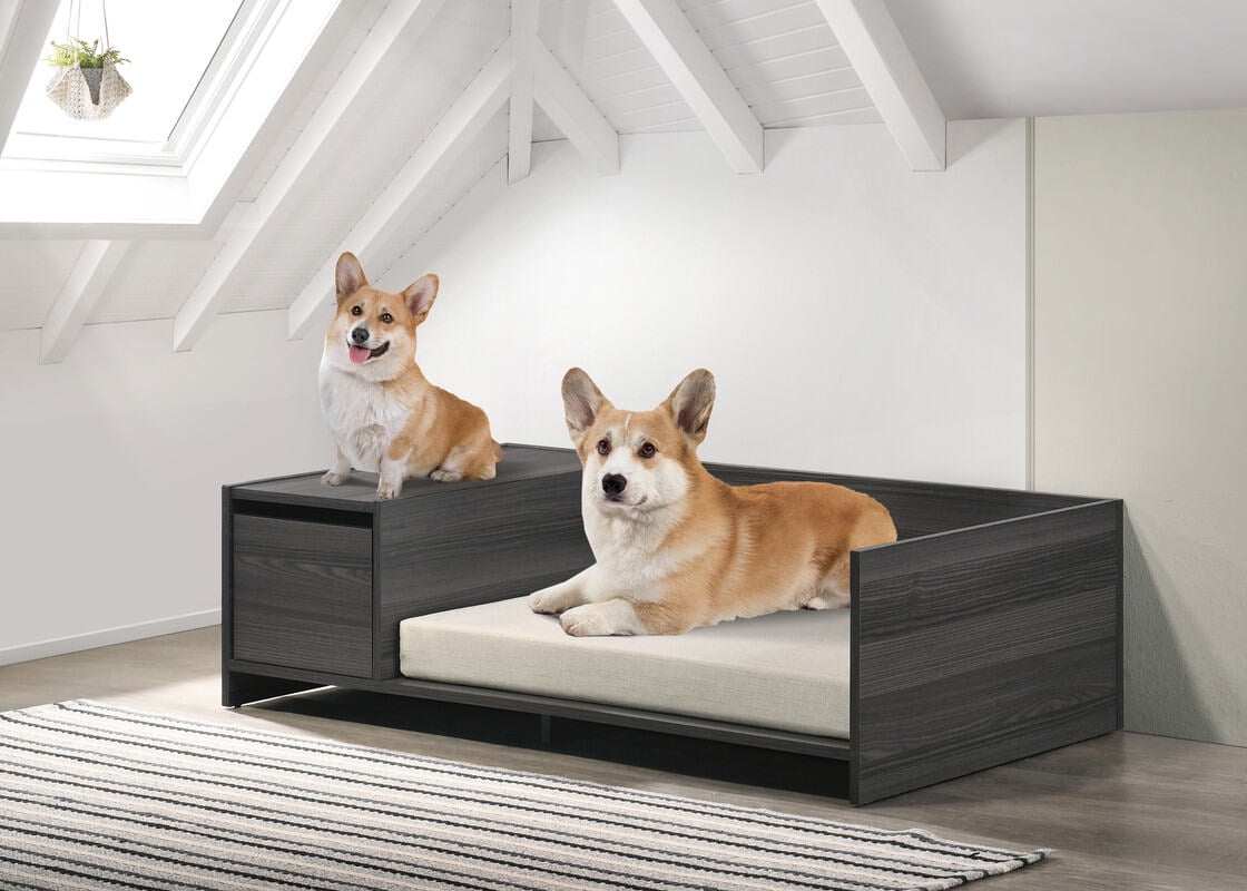 Orthopedic Dog Bed, Enrica Ash Gray 47"W Modern Comfy Pet Bed with Cushion and Side Storage Compartment, Dark Gray Dog Bed,Particle Board Cat Bed, Pet Supplies Pet Beds & Furniture