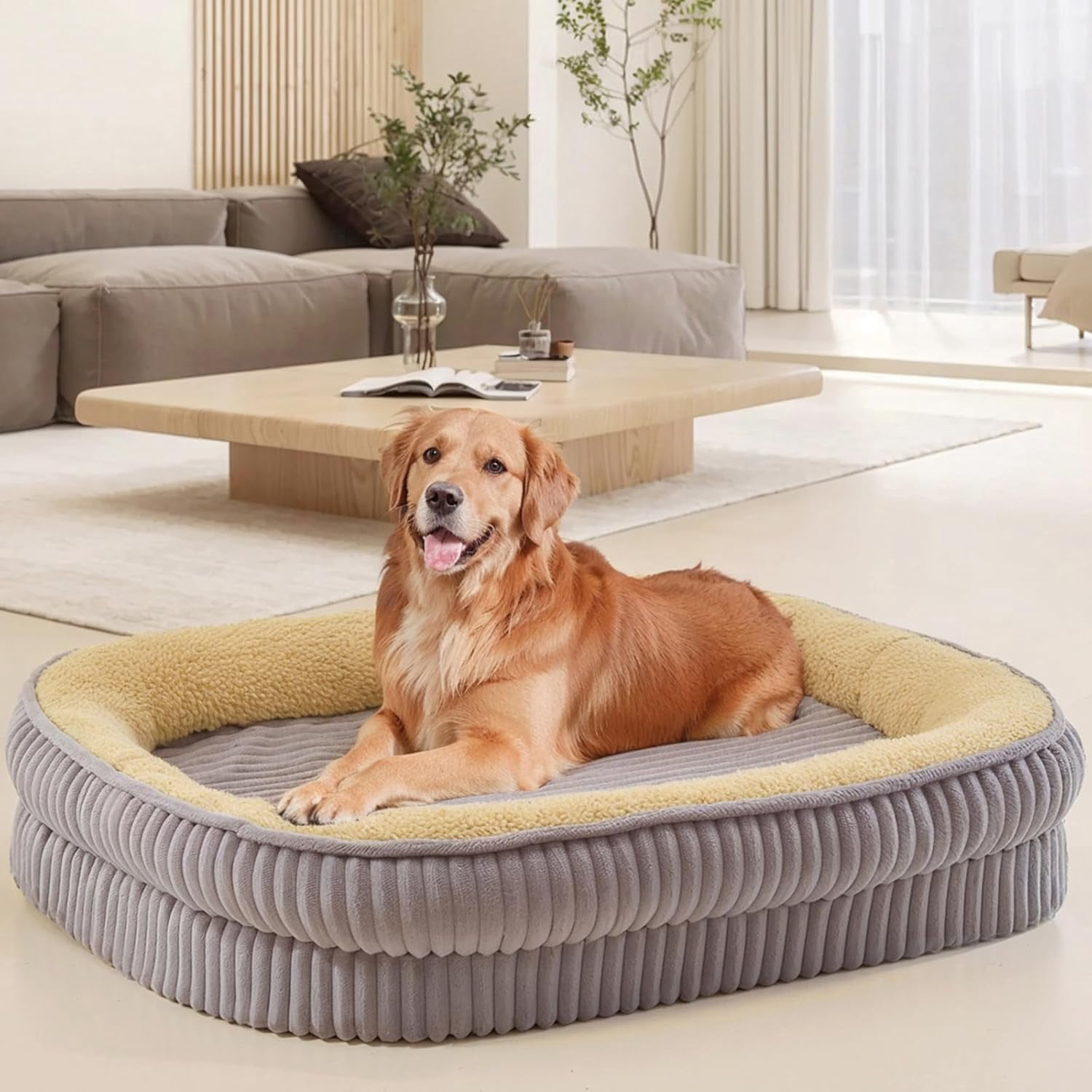 Side view of a senior dog lying on an orthopedic dog bed