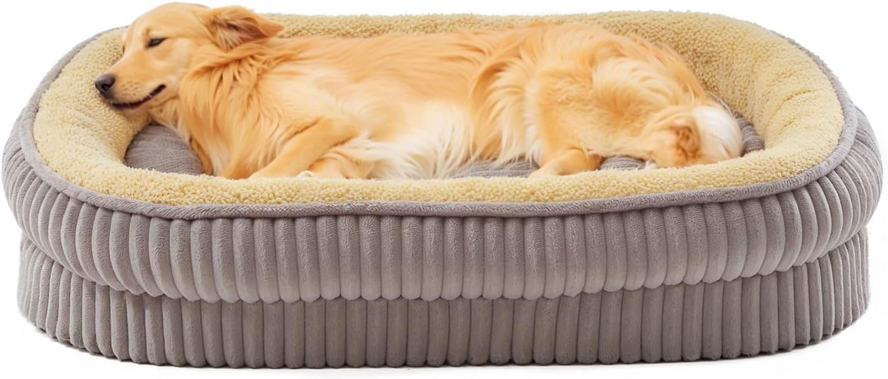 Orthopedic Dog Bed for Medium, Large Dogs Breeds, High Density Egg ...