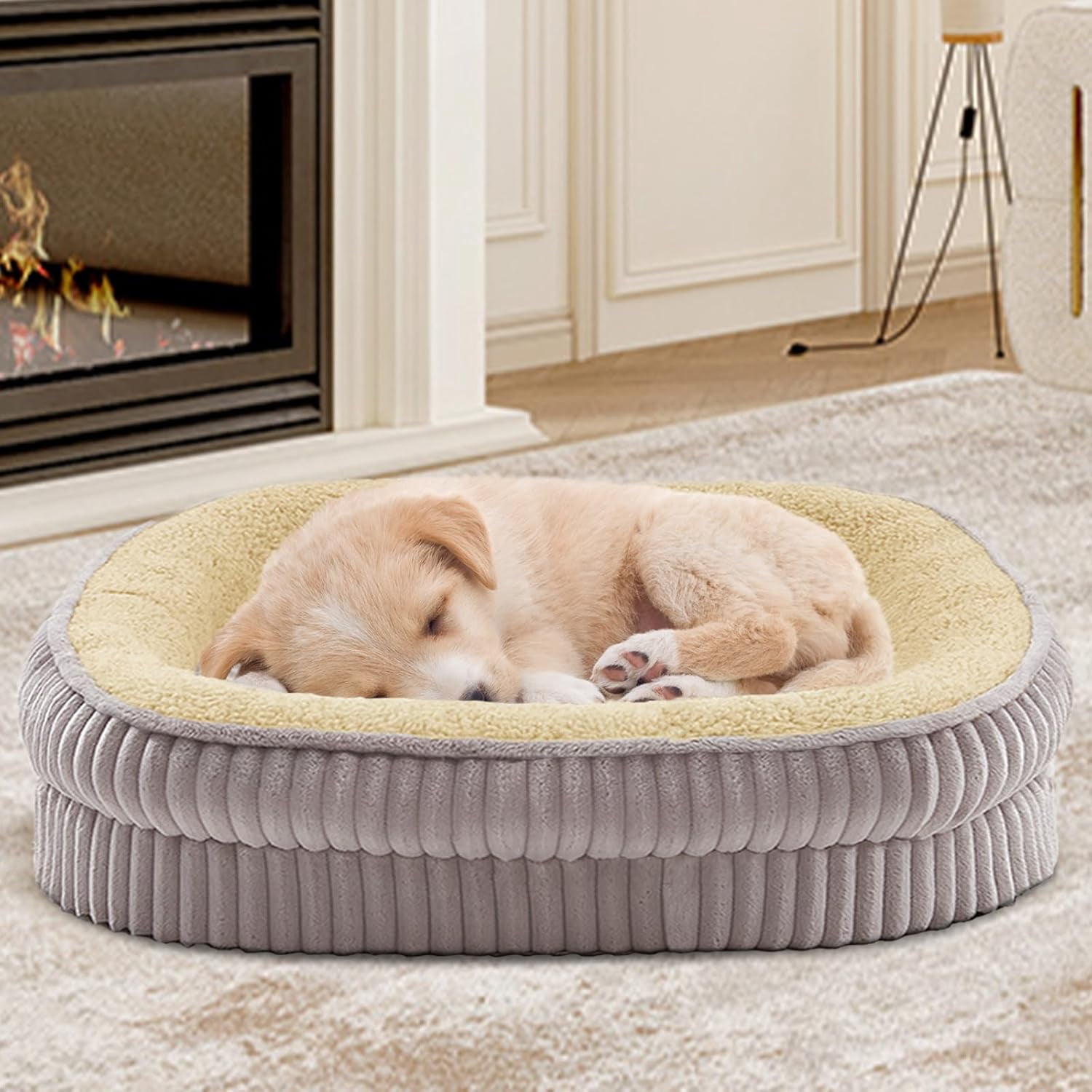 Picture of Orthopedic Dog Bed for Puppy,Extra Small Dogs Breeds,Oval Cat Bed,High ...