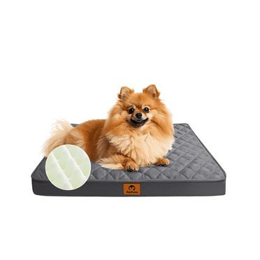 JoyPetto Orthopedic Dog Bed for Small Dogs - Egg Crate Foam, Waterproof&Machine Washable, Non-Slip Bottom, Ideal for Crate Use, 23x17 Inch,Dark Grey