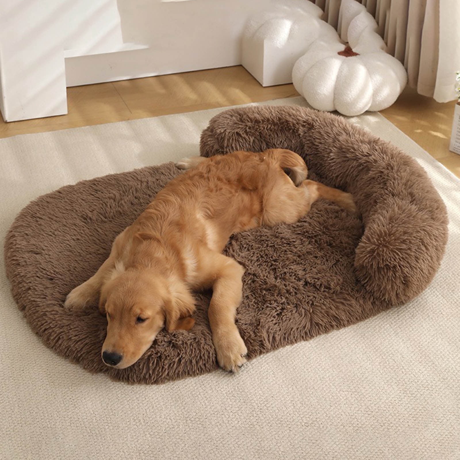 Orthopedic Memory Foam Dog Bed for Large Dogs Washable Removable Cover Non Bottom Egg Crate Design 100x75cm