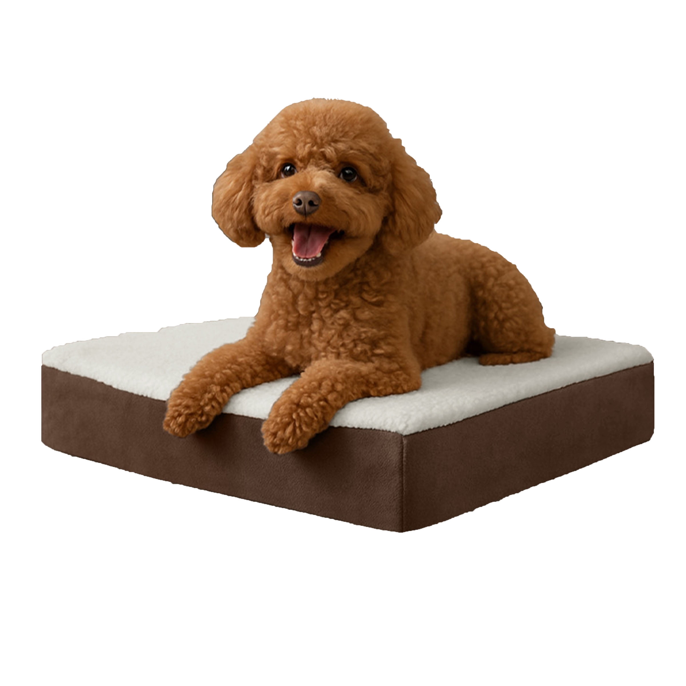 Orthopedic Dog Bed ? 2-Layer Memory Foam Dog Bed with Machine Washable Sherpa Cover ? 20x15 Dog Bed for Medium Dogs up to 20lbs by PETMAKER (Brown)