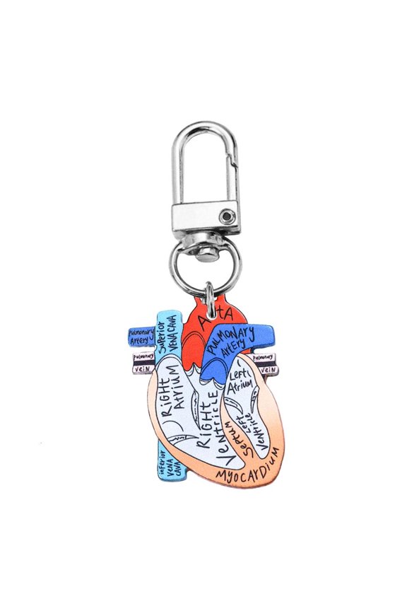 Anatomical Heart Keychain Educational Human Heart Charm for Physical Enthusiasts