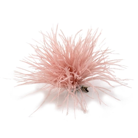 Osdhezcn Dress Accessories Ostrich Feather Material Corsage Pin Feather Lapel Pins