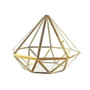 Osdhezcn Geometry Terrarium Modern Fairy Garden Container Glass Display Box for Succulent