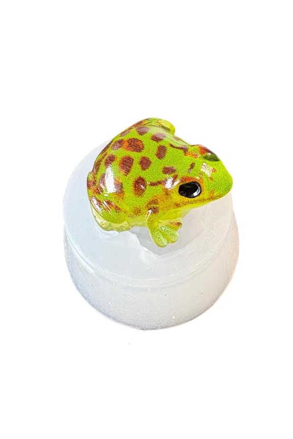 Multi Use Frogs Silicone Mold For Resin Keychains Candle Soap Making Craft Projects
