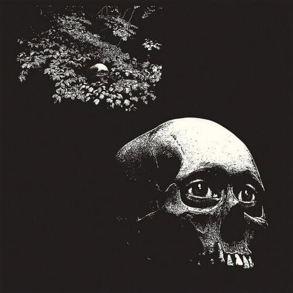 Osees - Foul Form - Music & Performance - Vinyl