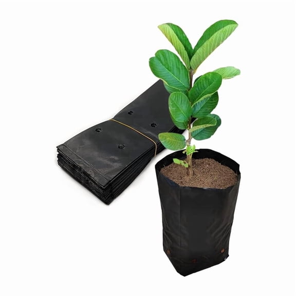 Osfvolr 200 Pcs Plant Nursery Bags, Plastic Seedling Pots Container for Fruit Tree, Flower, Starting Saplings, Plant Grow