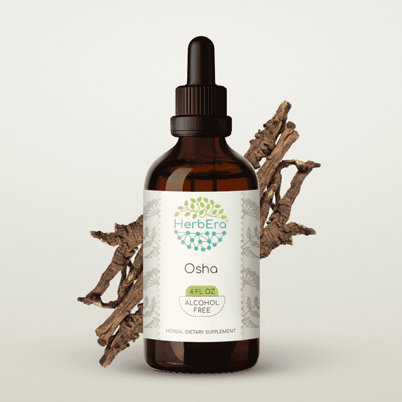 HerbEra Osha Tincture, Herbal Dietary Supplement for Respiratory Support, Osha (Ligusticum porteri) Dried Root Extract, Natural, Alcohol-Free, Drops 4 oz
