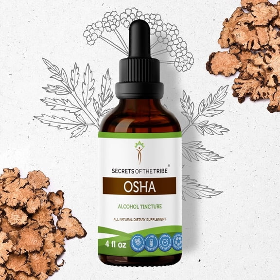Secrets Of The Tribe Osha Tincture Dietary Supplement, Natural Herbal Extract for Respiratory Support, Osha (Ligusticum porteri) Dried Root, Alcohol Extract, Drops 4 oz