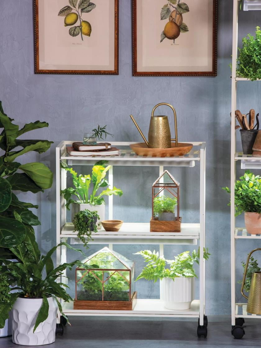 Oslo 2-Tier LED Grow Light Garden 2 Fixtures