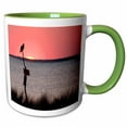 thumbnail image 1 of 3drose, Osprey Bird, Abelmarle Sound, North Carolina - Us34 Dfr0006 - David R. Frazier, 15oz Two-tone Green Mug, 1 of 6