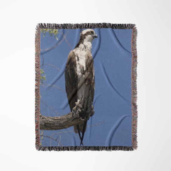 Osprey Bird Perch, Santee Lakes In San Diego Ca - Na02 Djo0028 - Diane Johnson, Woven Blanket