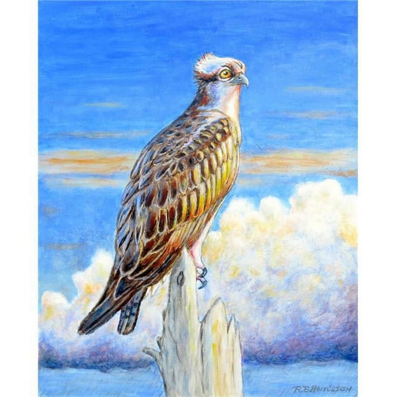Osprey Storm Beach Towel