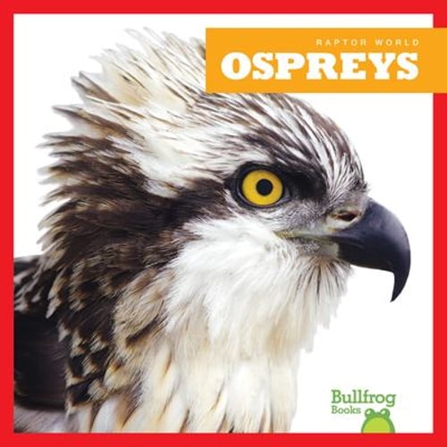 Pre-Owned Ospreys (Paperback) 164128823X 9781641288231