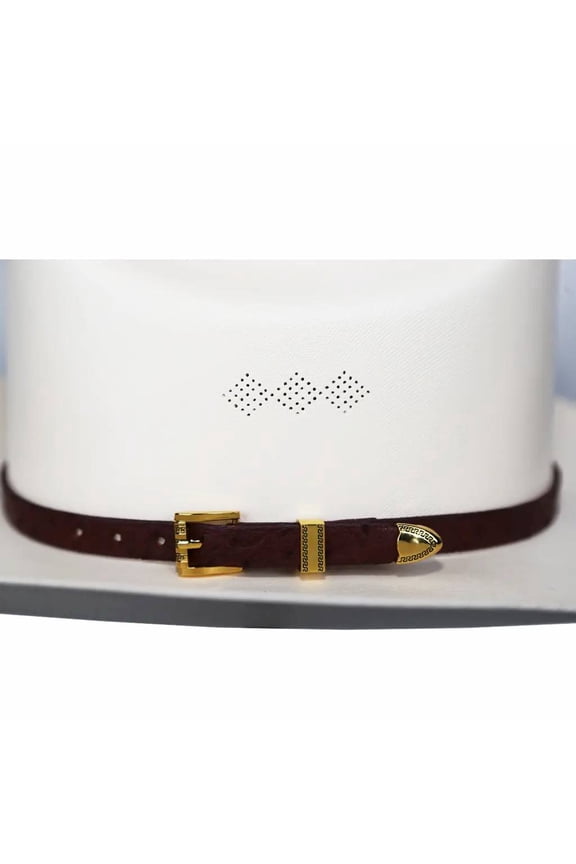 Ostrich Cowboy Hat Band Brown Gold Plated 3 Piece Buckle Set Handmade 26