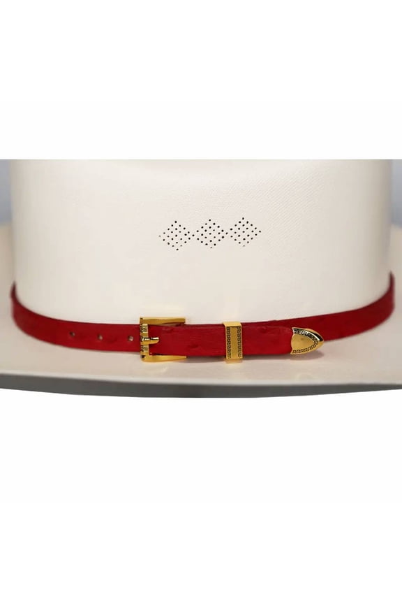 Ostrich Cowboy Hat Band Red Gold Plated 3 Piece Buckle Set Handmade 26