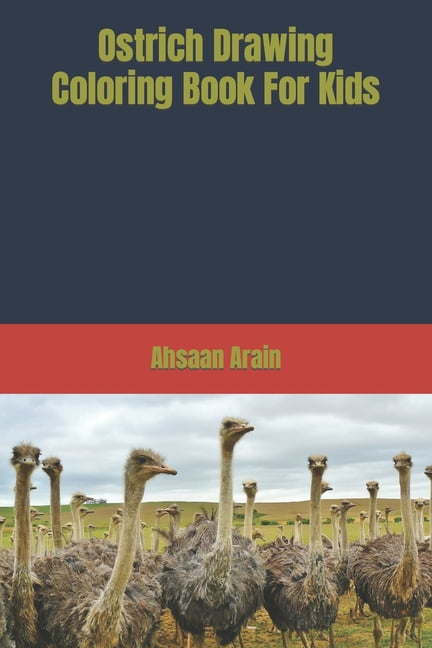 Ostrich Drawing Coloring Book For Kids (Paperback)