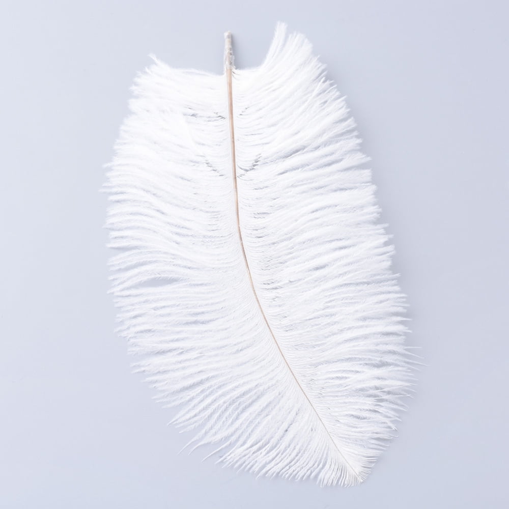 Ostrich Feather Costume Accessories Dyed White 25~30cm Feather