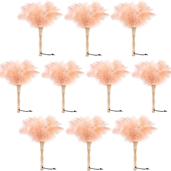 Ostrich Feather Duster 12 Inch Handheld Duster Supplies, Wooden Handle Feather Duster for Cleaning Keyboard Home Car Office (Champagne 10Pcs)