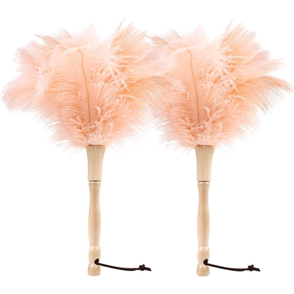 Ostrich Feather Duster 12 Inch Handheld Duster Supplies, Wooden Handle Feather Duster for Cleaning Keyboard Home Car Office (Champagne 2Pcs)
