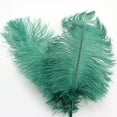 thumbnail image 1 of Ostrich Feathers 30-35Cm Colored Feather Decoration 50# Dark Green - Artificial Flowers - Feather Decorative Lights, 1 of 7