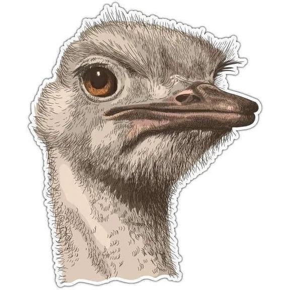Ostrich Head Bird Zoo Africa For Cars Vinyl Decal Sticker