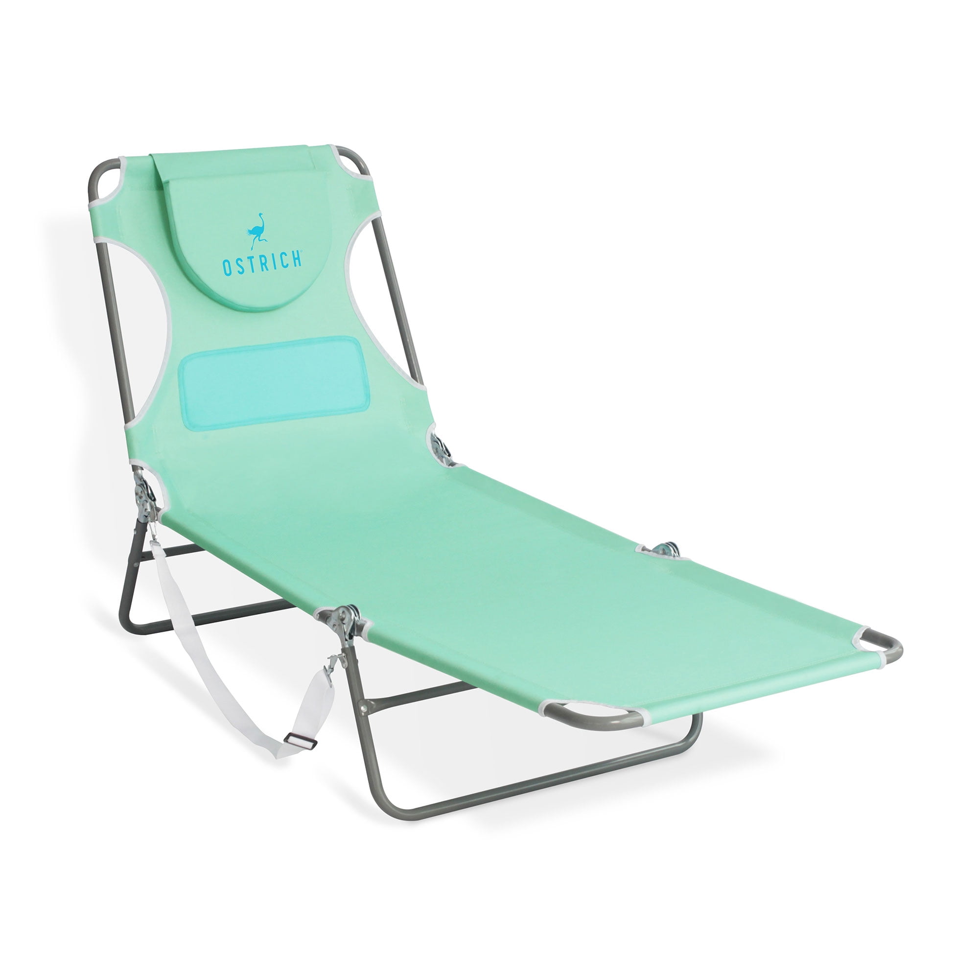 Teal Powder Coated Aluminum Outdoor Chaise Lounge with Cushions