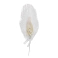 thumbnail image 1 of Ostrich Pearls Feather Paper Cake Toppers Natural Cake Decoration Inserts Cake Picks For Engagement Wedding Birthday Party (white), 1 of 3