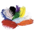 thumbnail image 1 of Ostrich Plumes Adult Halloween Accessory, 1 of 1