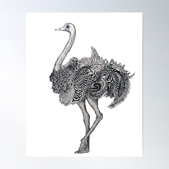 Ostrich Poster Wall Art, Modern Wall Decor For Living Room Bedroom, 8x12 UNFRAMED