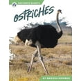 thumbnail image 1 of Ostriches, (Paperback), 1 of 1