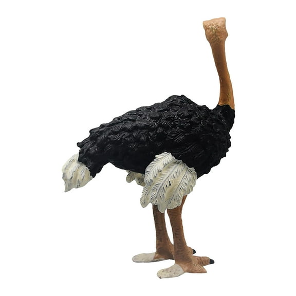 Ostrichs Figurine Realistic Plastic Wild Ostrichs Model Educational Learning Toy Model Birthday Gifts