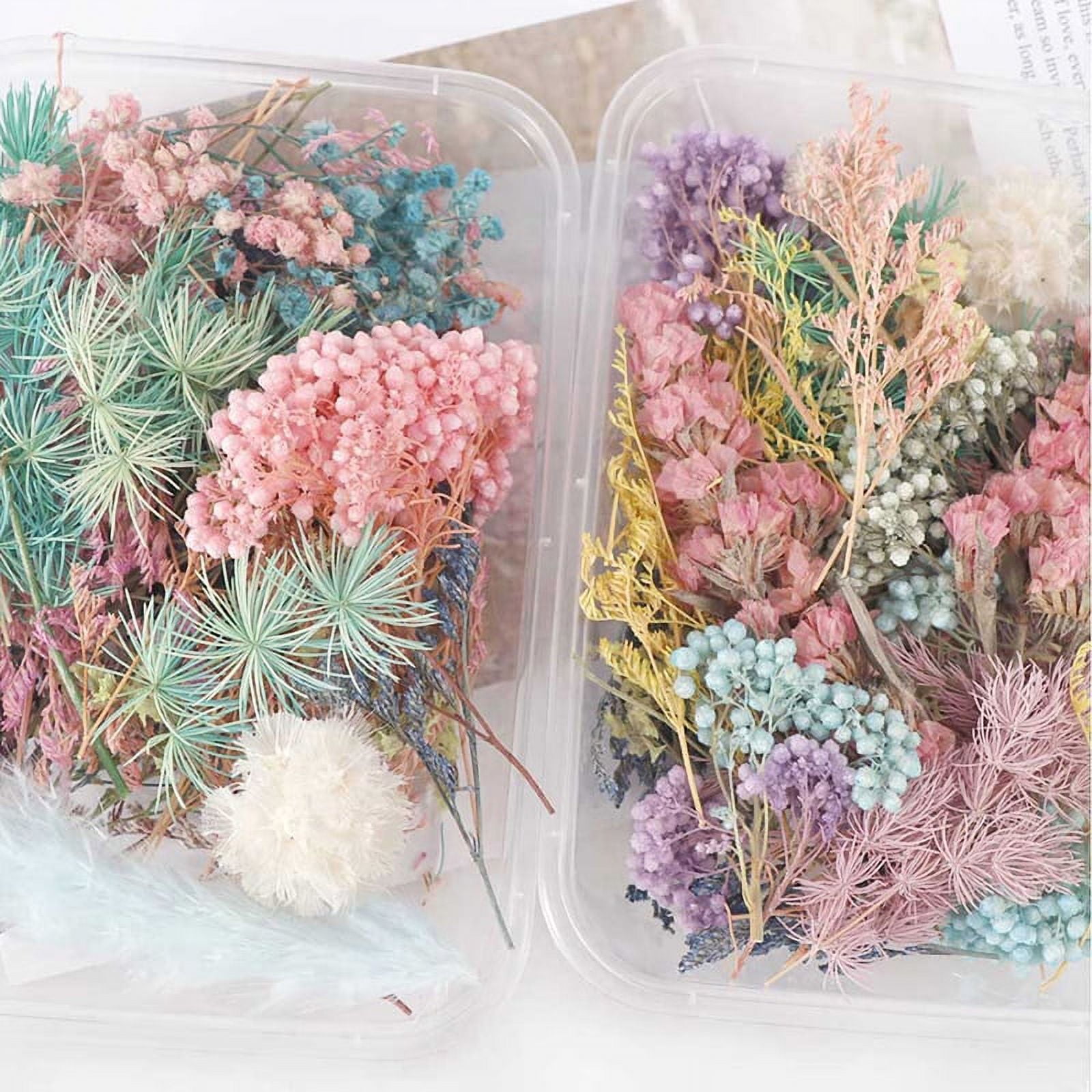  EXCEART 4 Sets Dried Flower Immortality Dry Flowers Pressed  Flower Leafs Scrapbooking Dried Flowers Sticker Candle Dried Flower Flowers  for Resin Molds Pressed Flowers Baby Charm Warm up